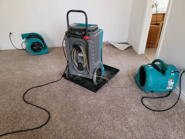 Best Water damage restoration company  in Stillwater, OK