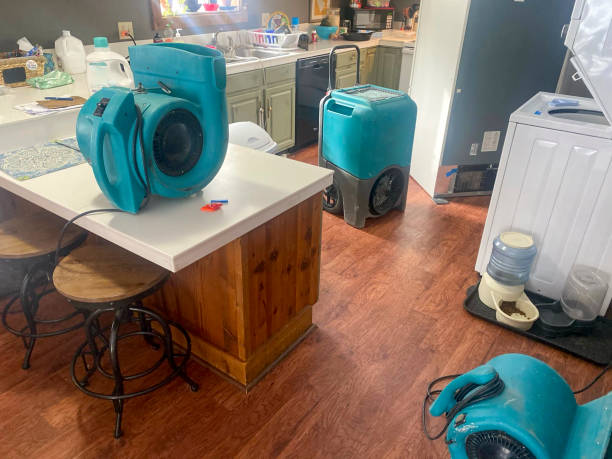 Best Flood damage cleanup  in Stillwater, OK