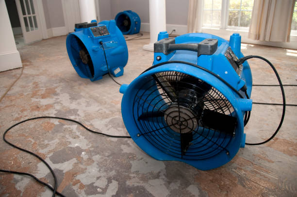 Best Flooded house restoration  in Stillwater, OK