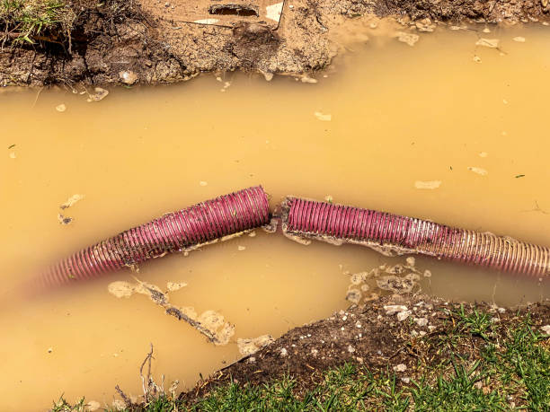 Best Water damage contractors near me  in Stillwater, OK